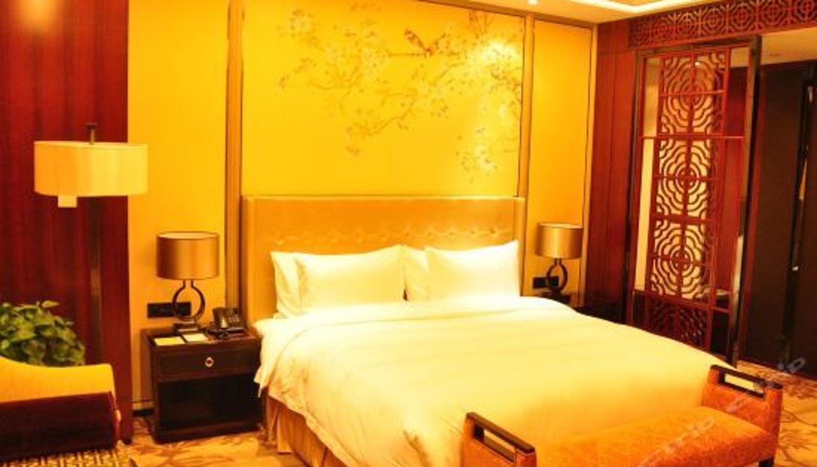Camera business - Howard Johnson Zhongtai Plaza Nanyang