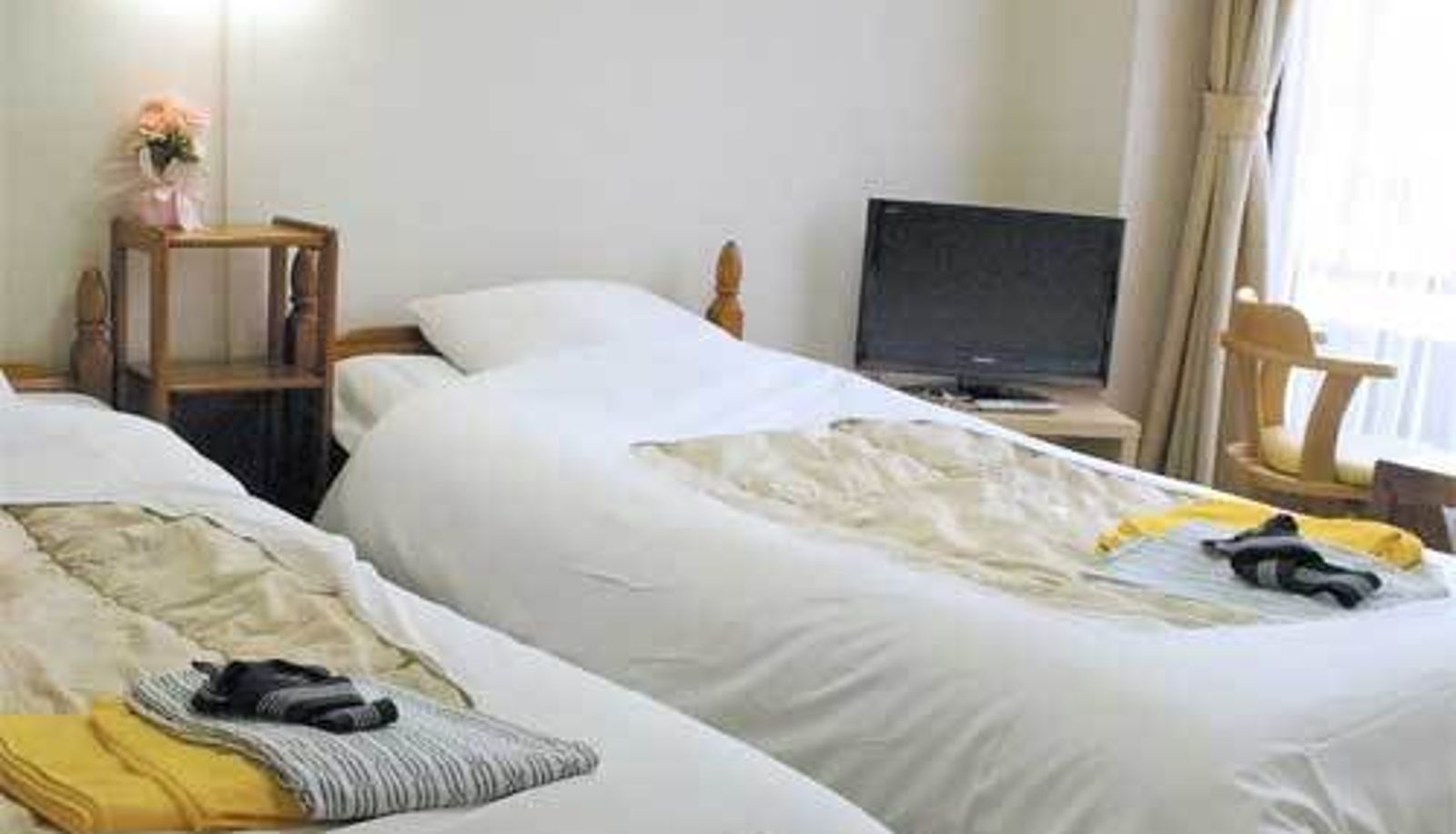 Standaardkamer (tweepersoons) - Kyoto Inn Kamogawa