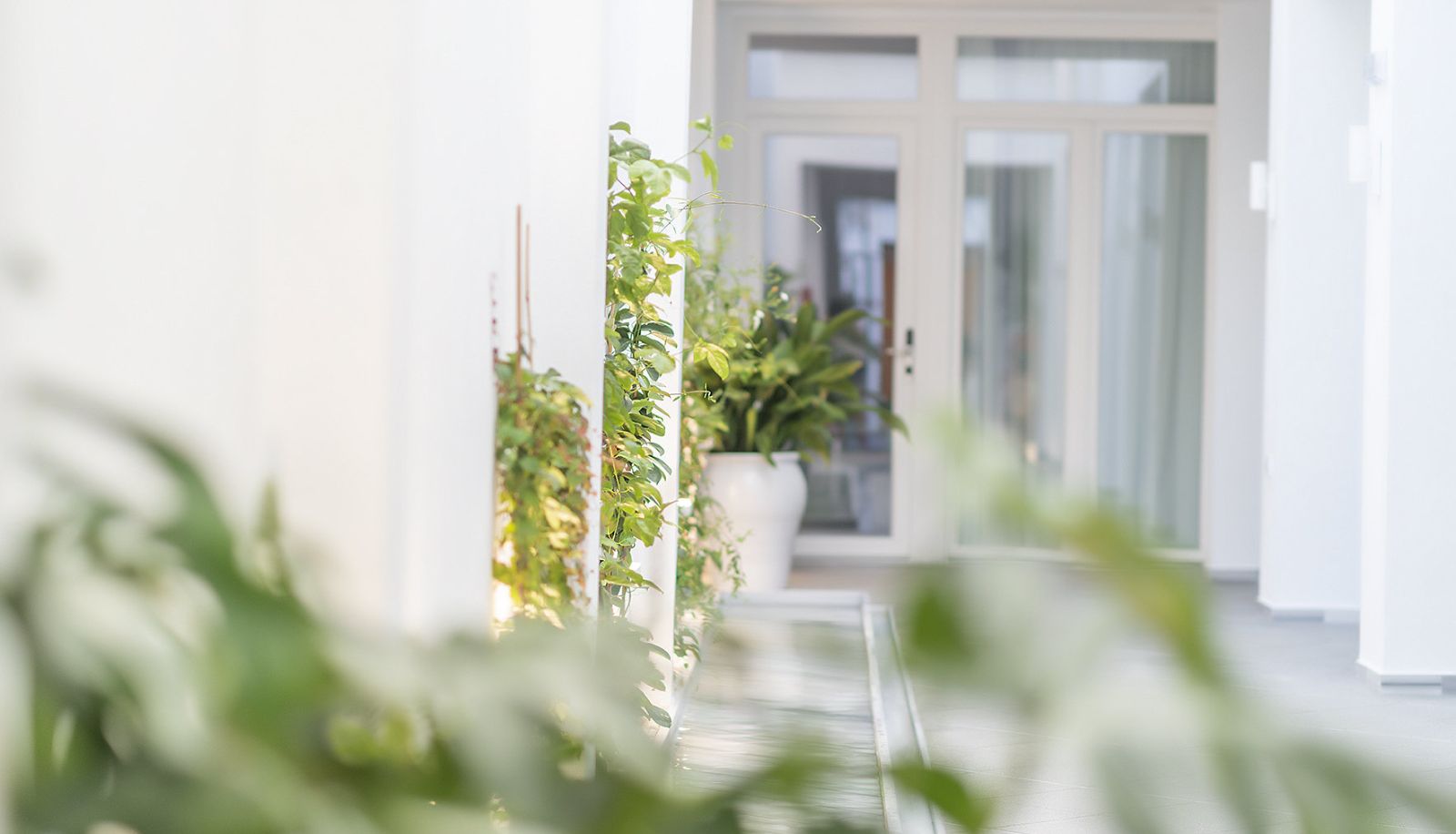 Hotel Innenbereich - Alzocaire Hostal Boutique