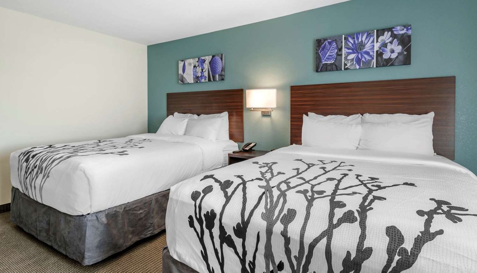 Room - Sleep Inn
