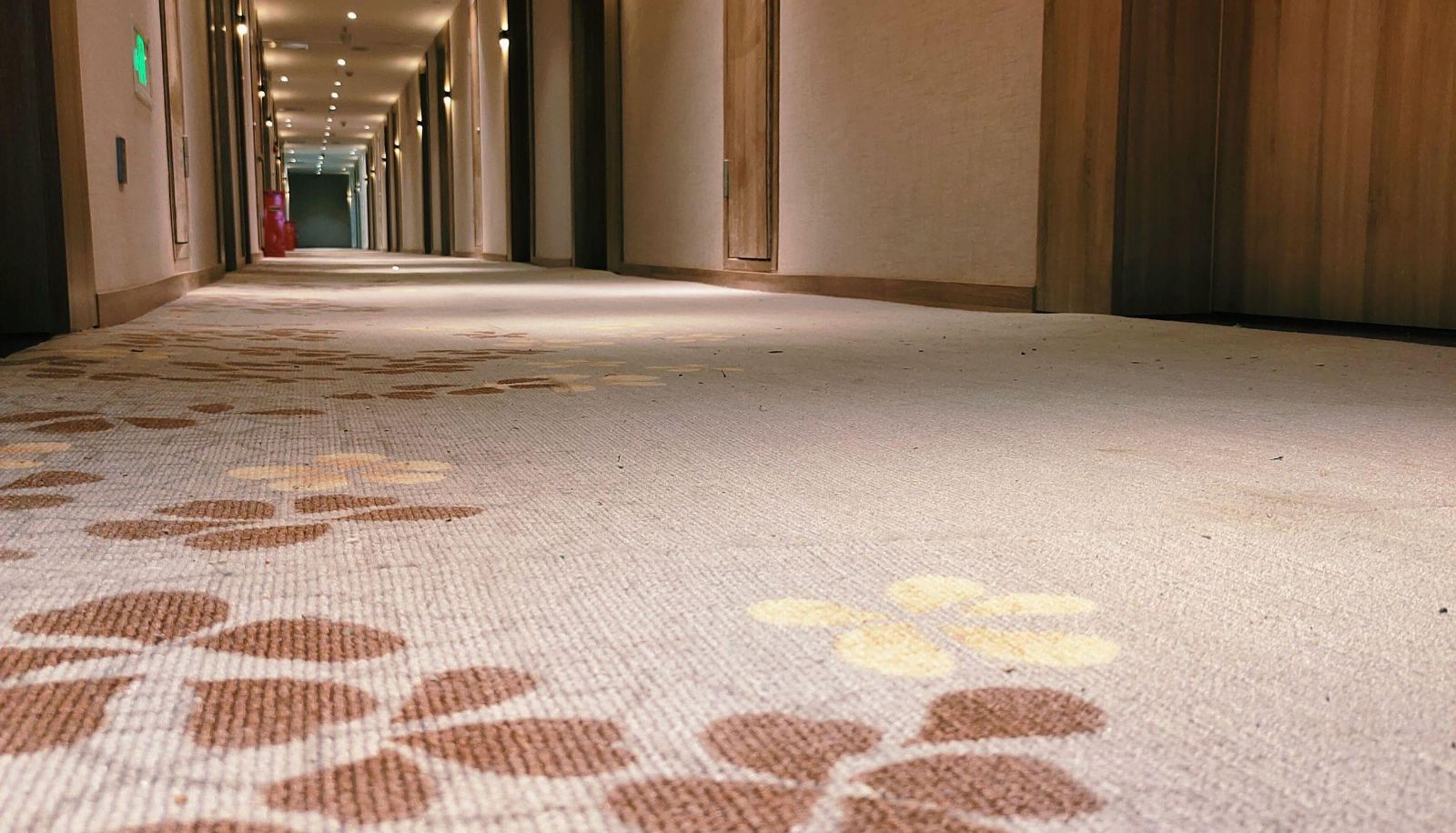Area esterna dell'hotel - Pingzhimeng Holiday Inn (Anhui Second People's Hospital Store)