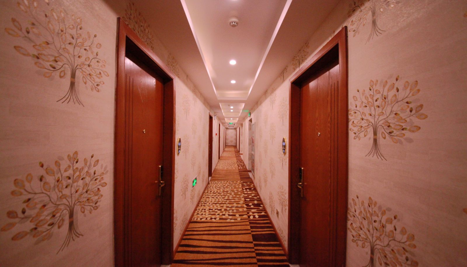 Area esterna dell'hotel - Elephant Theme Hotel (Renmin Road 100)