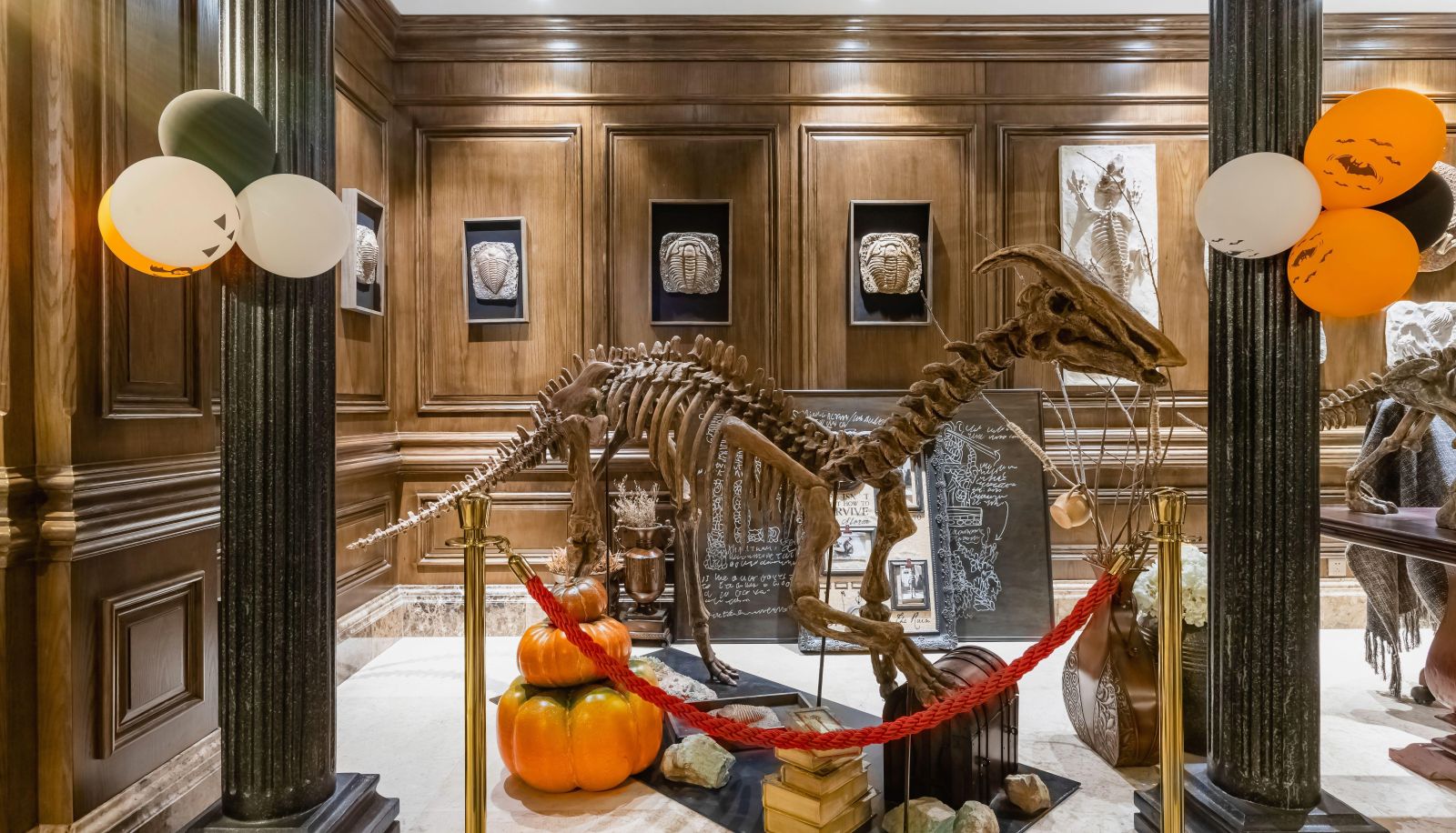 Zewnętrzna część hotelu - Dinosaur Club Hotel (Changzhou China Dinosaur Park official store)