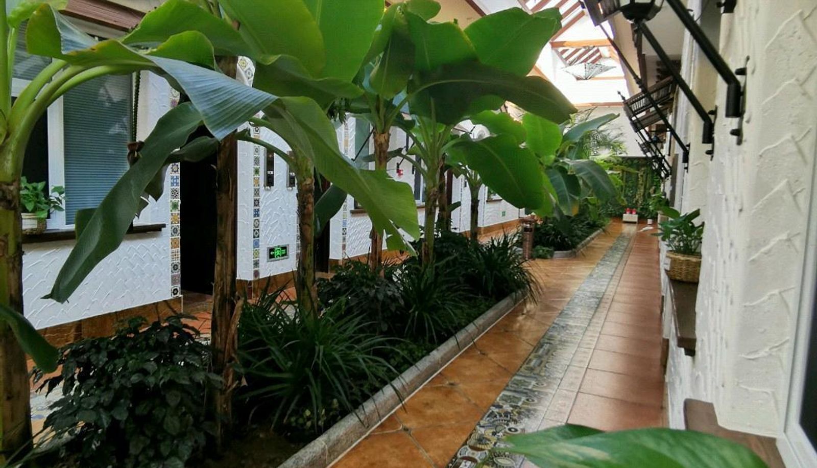 Hotel outdoor area - Pearl Baolian Health Hotel
