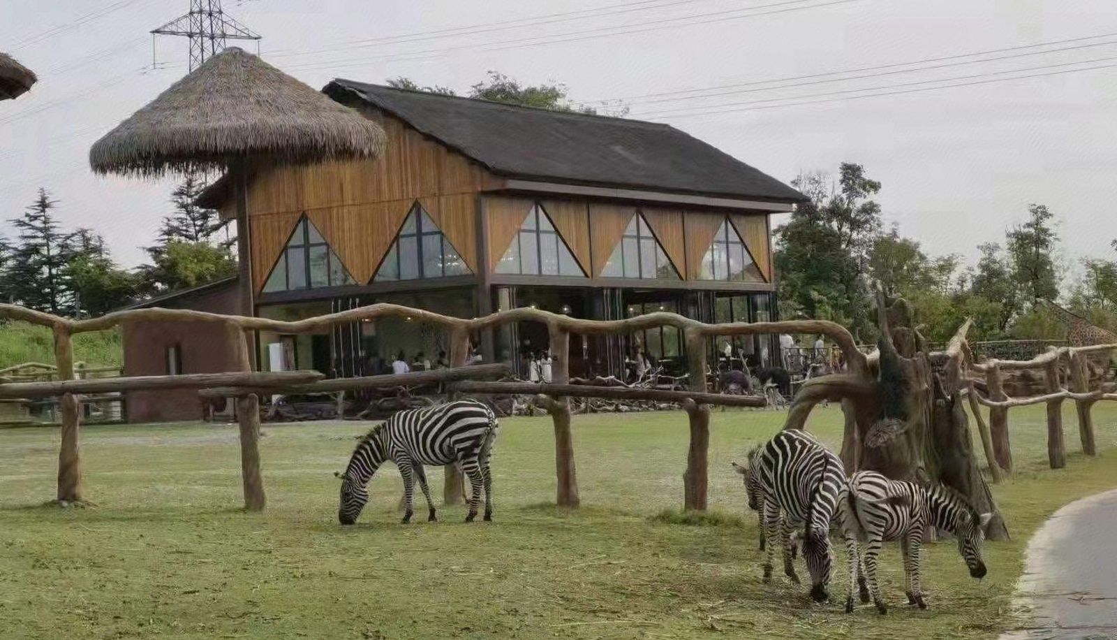 Buitenruimte van het hotel - Nantong Sendi Tribal Tree House
