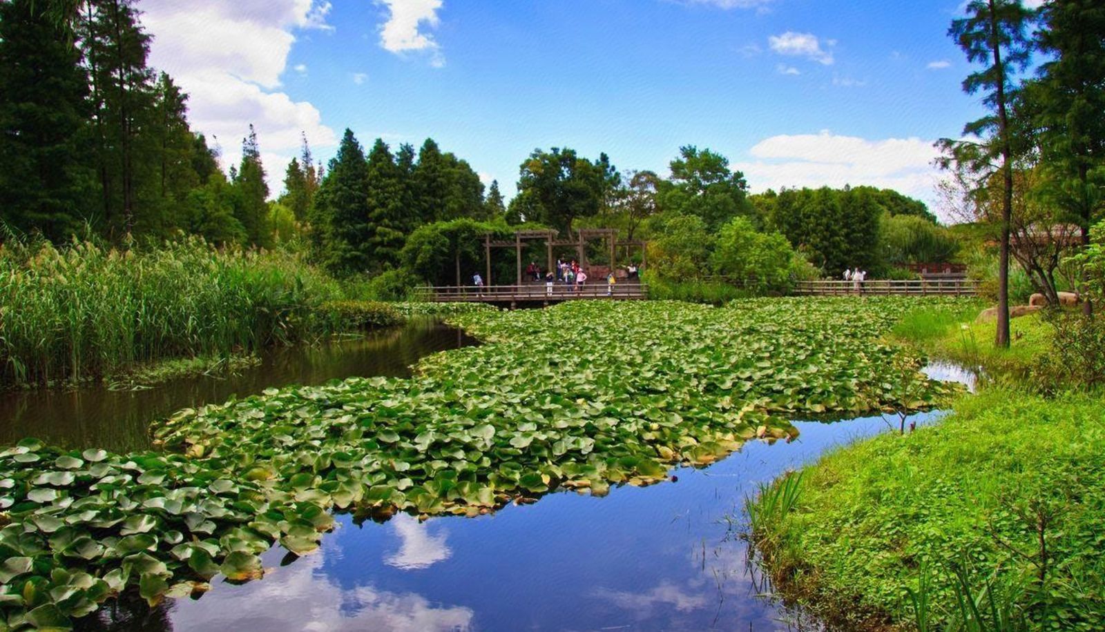 Info - Punk Ballet INS Hotel (Changzhou Lake Pond Yancheng Zoo Store)