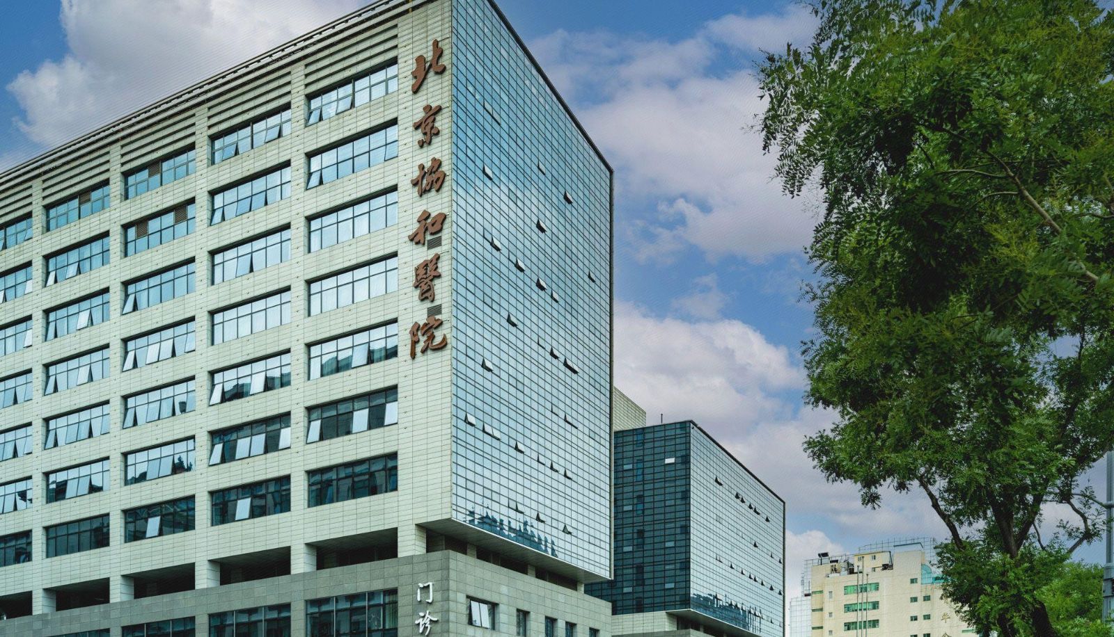 Info - Super 8 Select Hotel (Beijing Wangfujing Jinyu Hutong Metro Station)