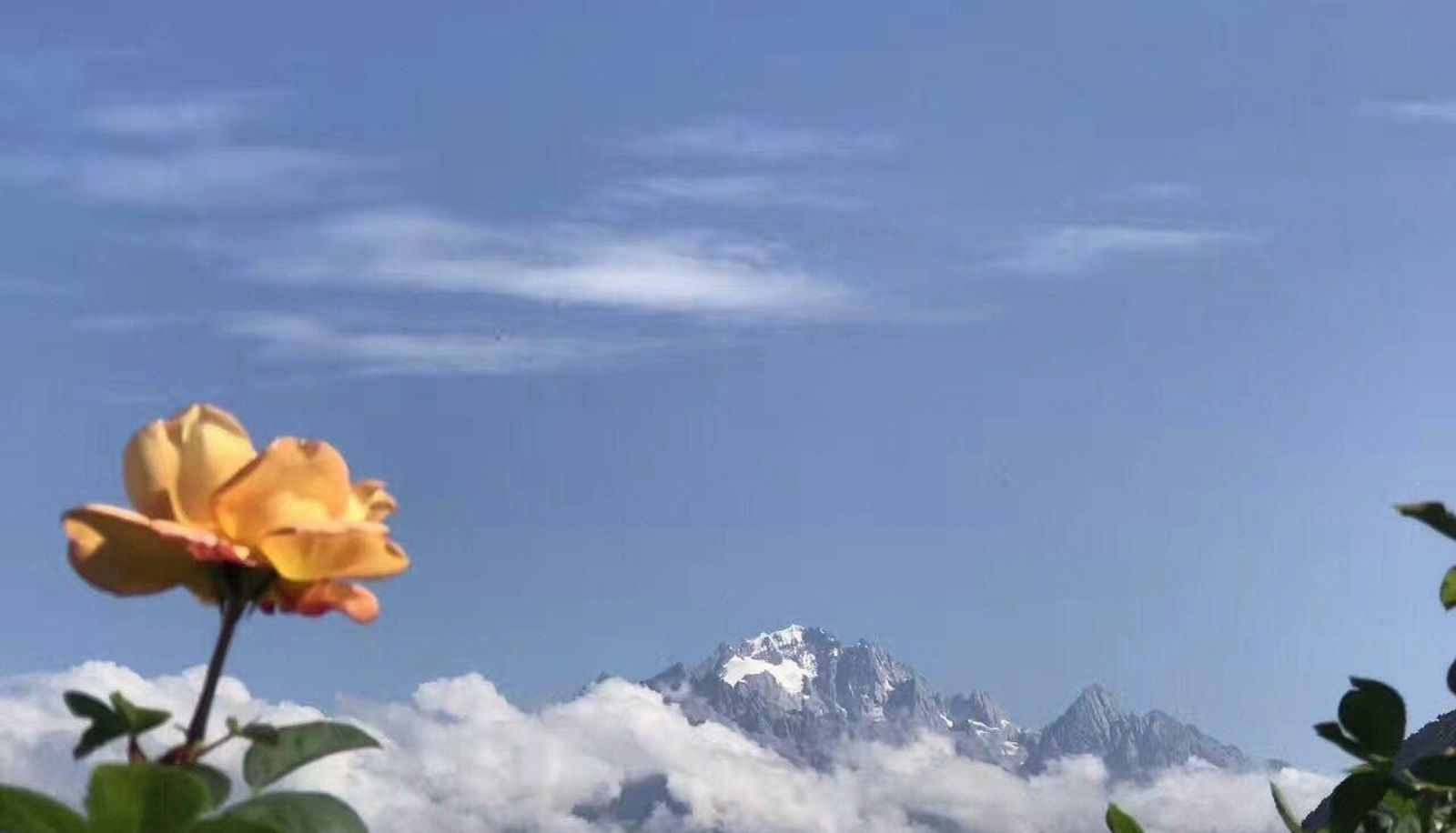 Informacje - Lijiang Flower Unmatched Garden Meisu