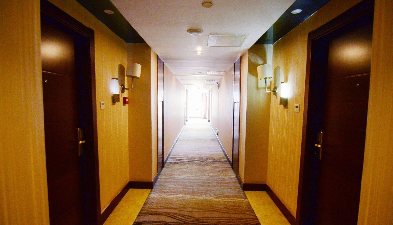 Hotel outdoor area - Hayden International Hotel