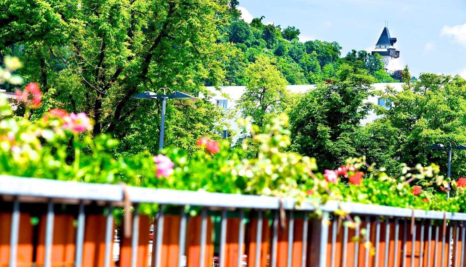 Umgebung - Zur Steirerstub´n Pension Gasthof