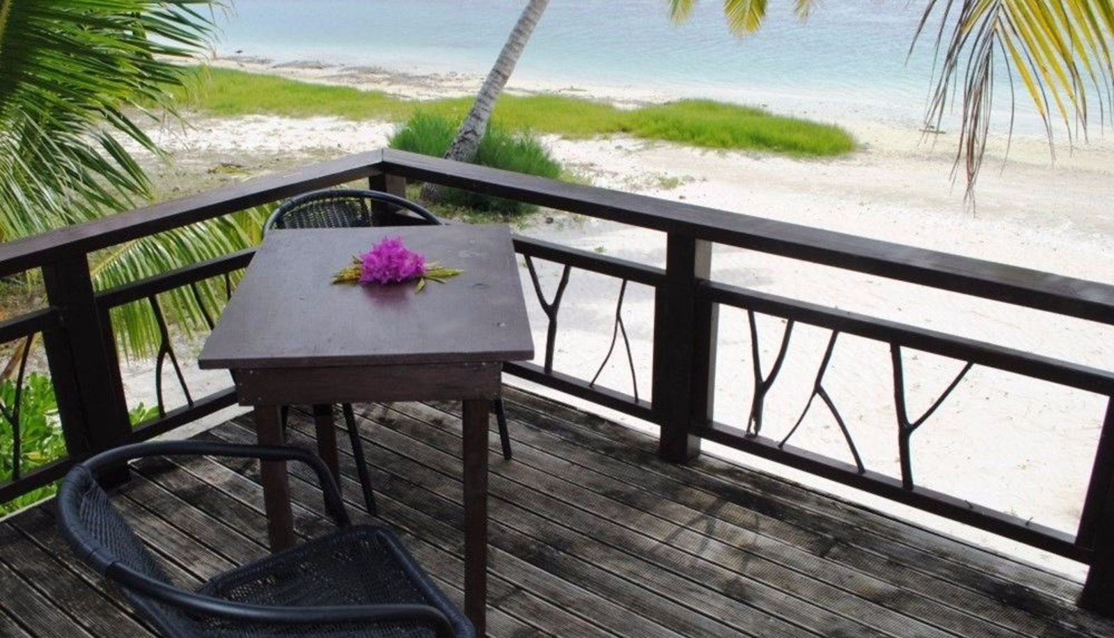 Standardzimmer - Paradise Cove Lodges