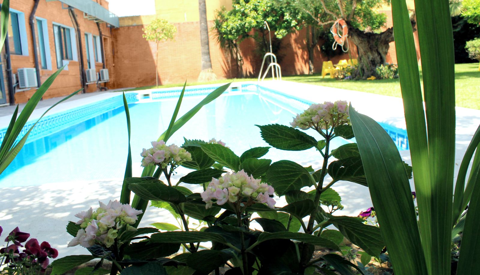 Garden - Hotel AACR Monteolivos