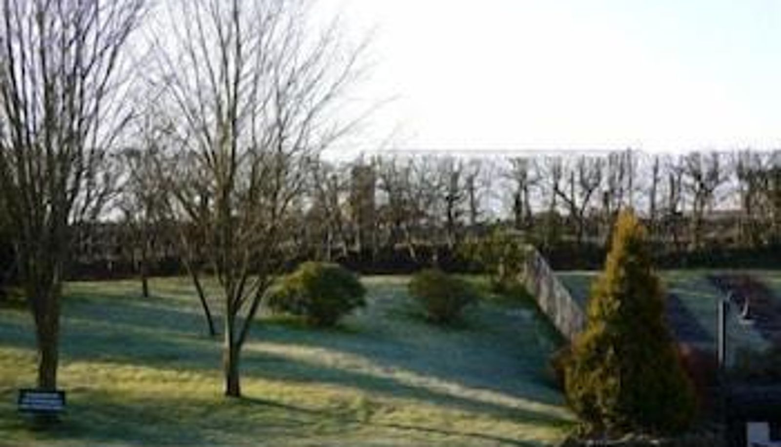 Dintorni - The White Hart