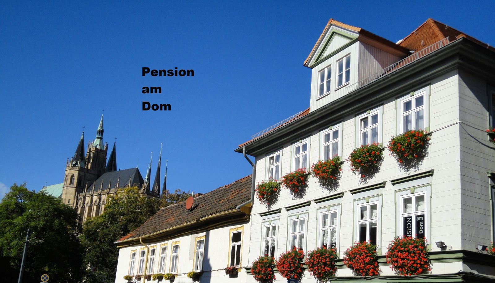 Am Dom Hotelpension (Erfurt)