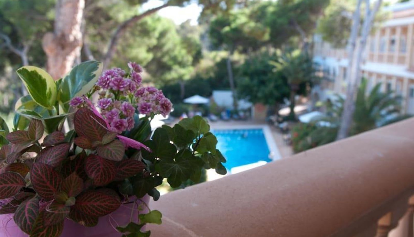 Piscina - Hotel Cala Gat