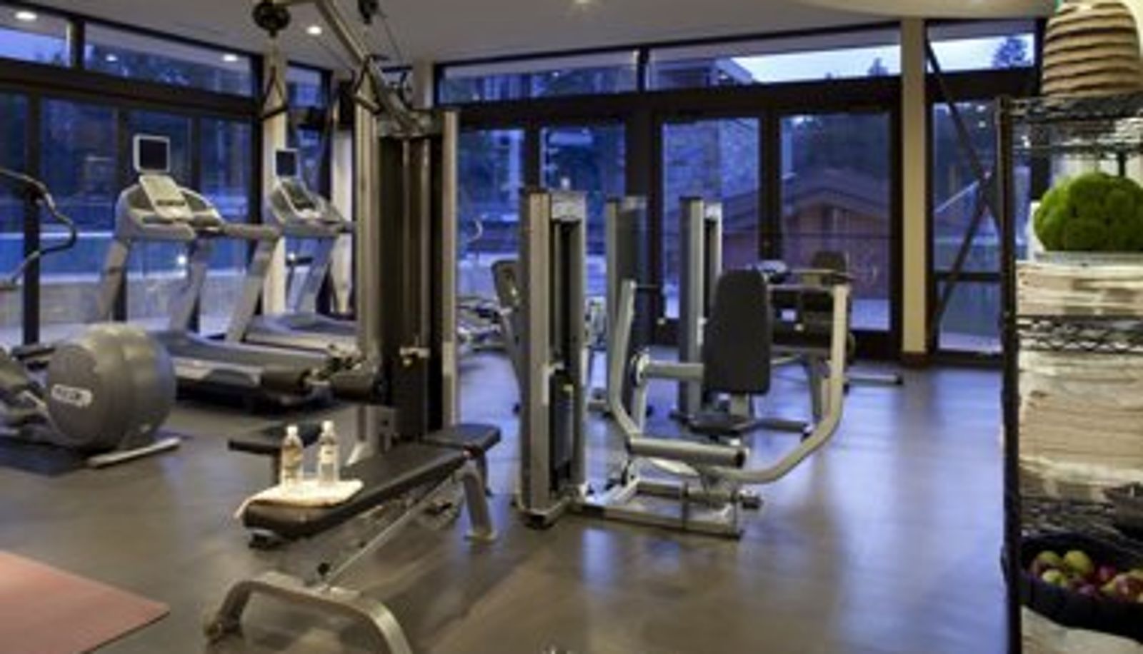 Zona de bienestar y gimnasio - Mammoth 8050