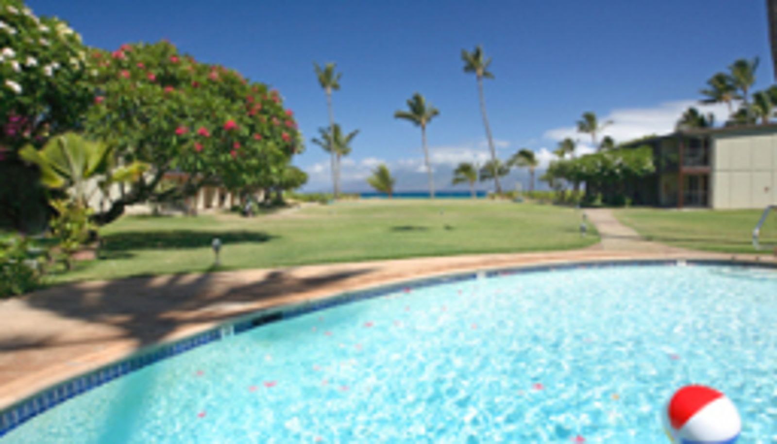 Pool - The Mauian - Boutique Beach Studios on Napili Bay