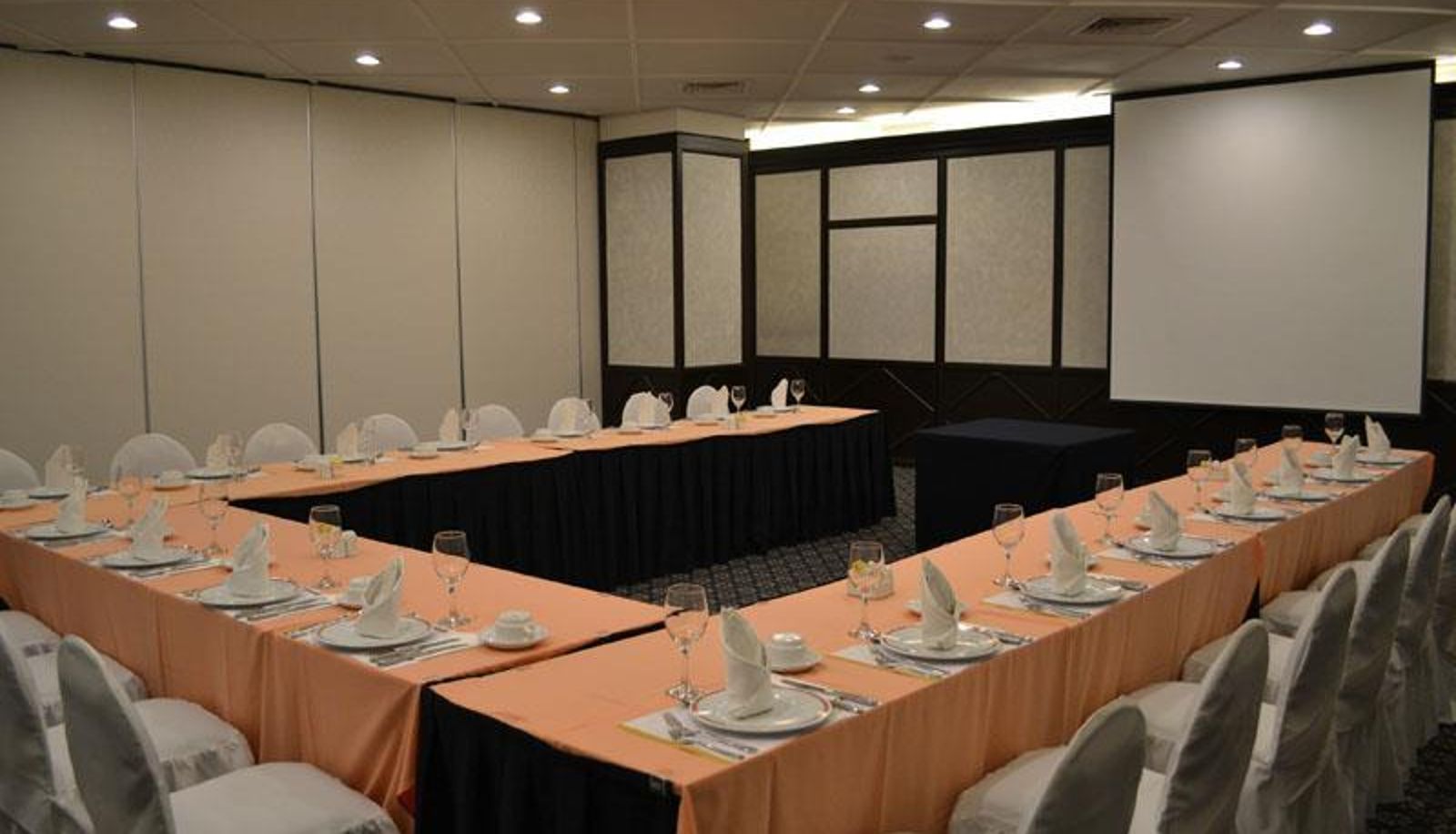Konferenzraum - Hotel Royal Reforma