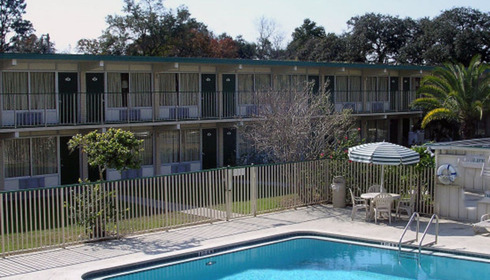 Pool - Masters Inn Tampa East