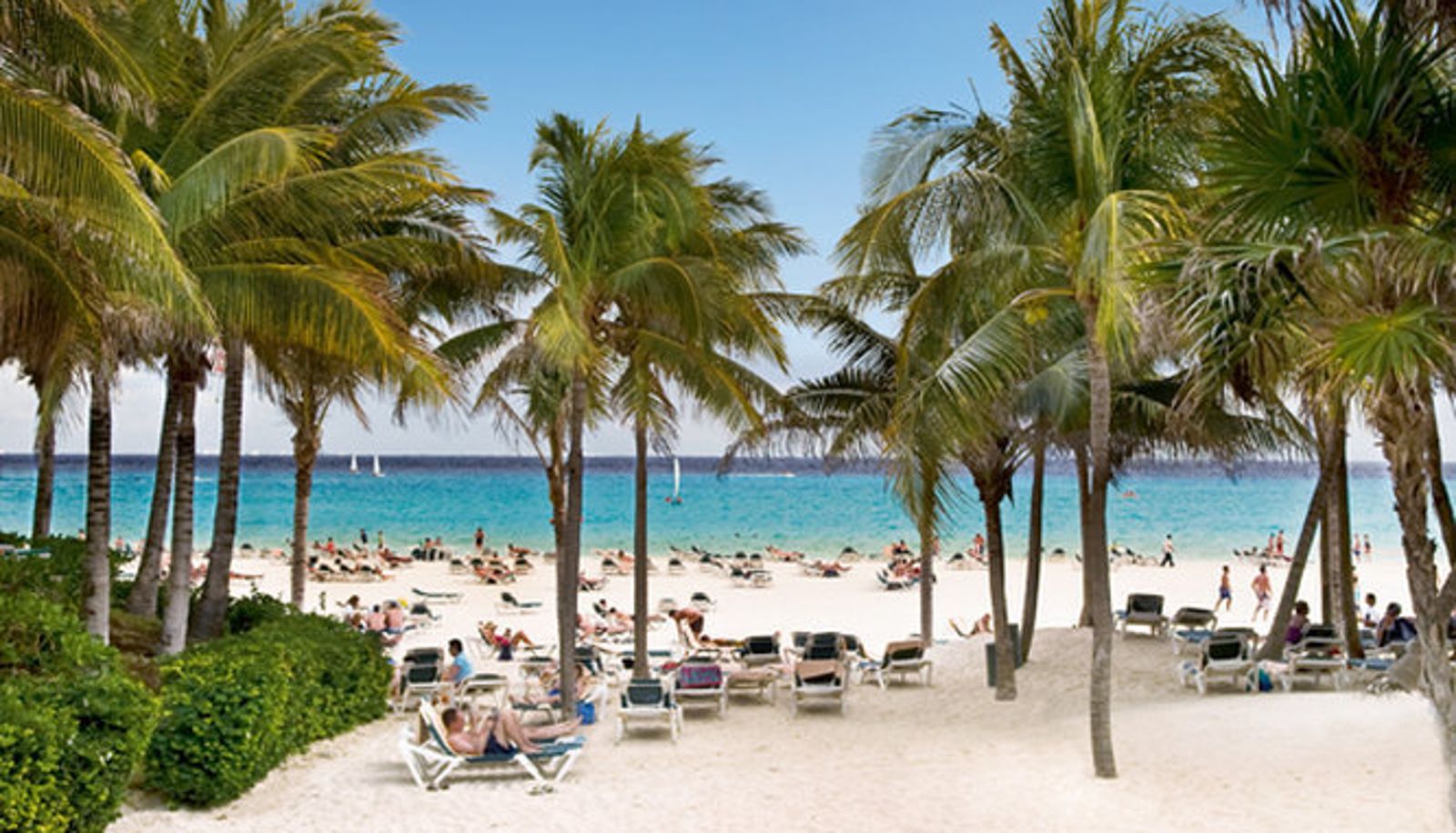 Wellness- en fitnessruimte - Riu Tequila All Inclusive