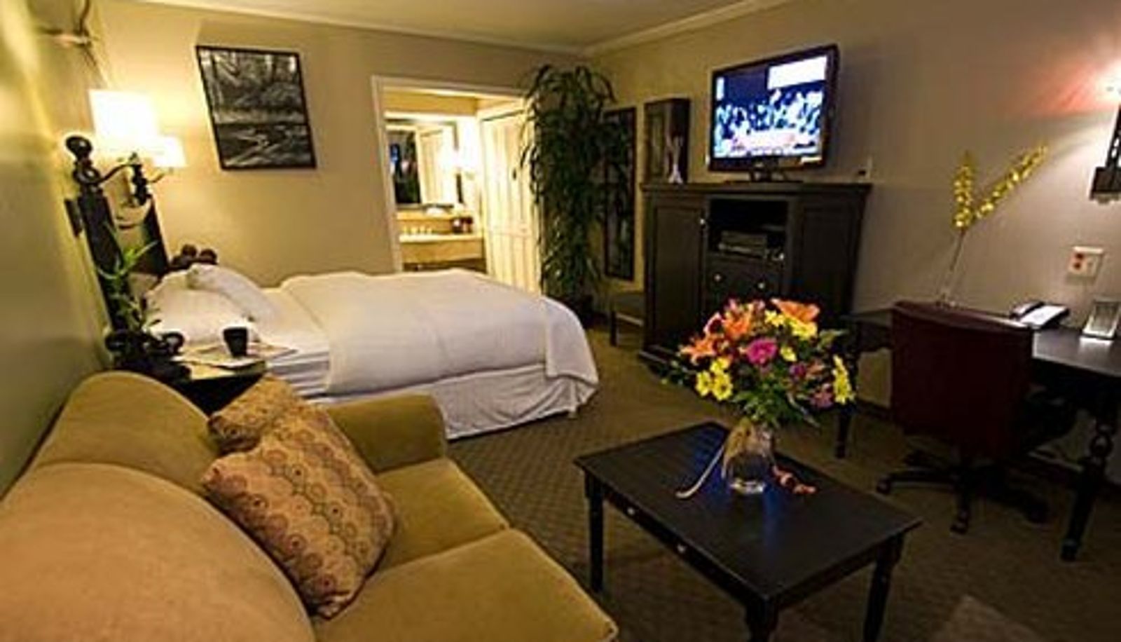Room - Hotel Paseo Corona