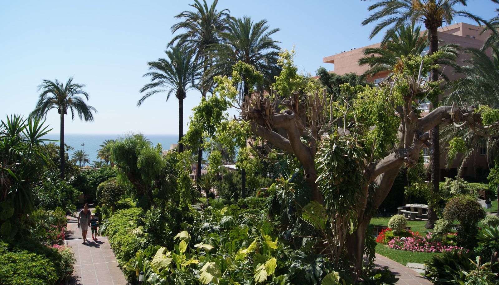 Garten - Best Siroco