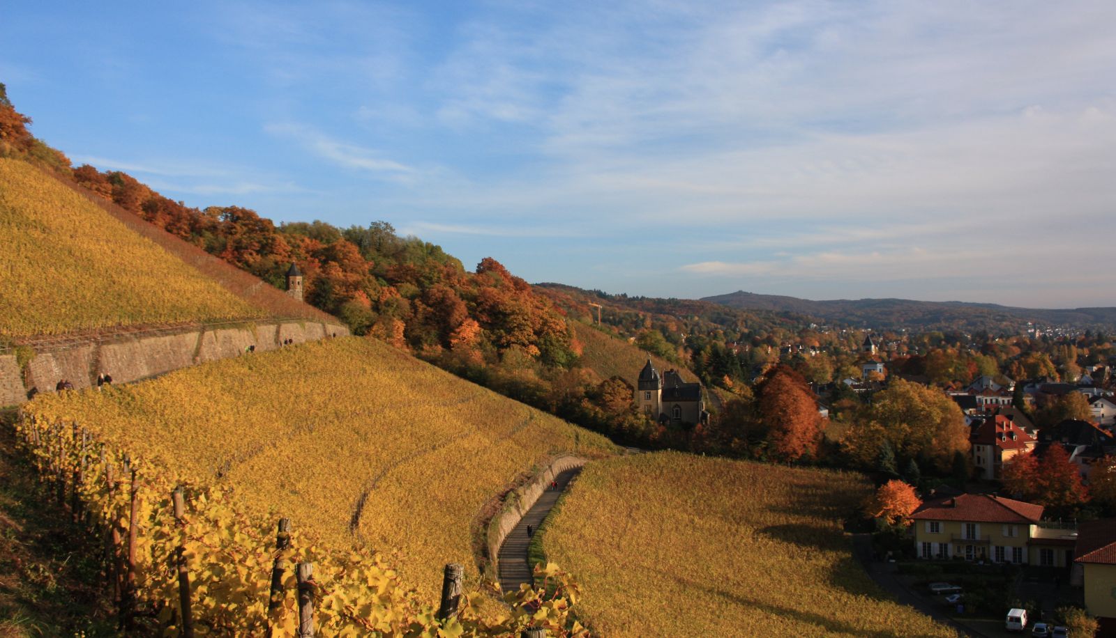 Otoczenie - Haus Drachenloch Weinhotel
