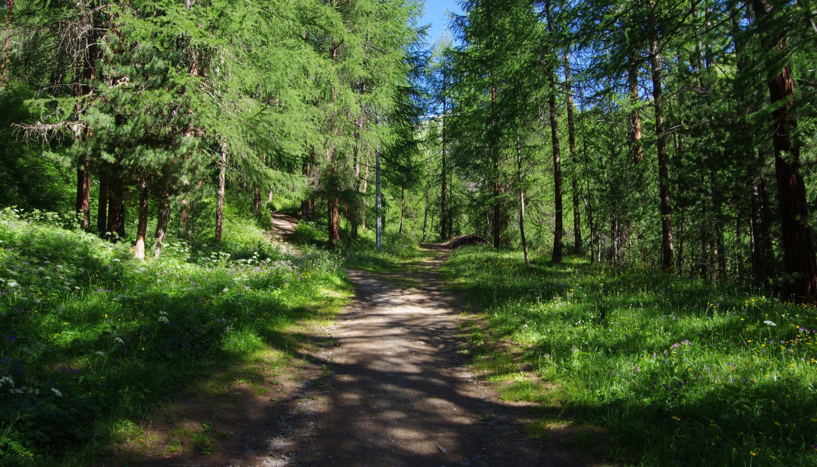 Surrounding - Alpen Village Hotel