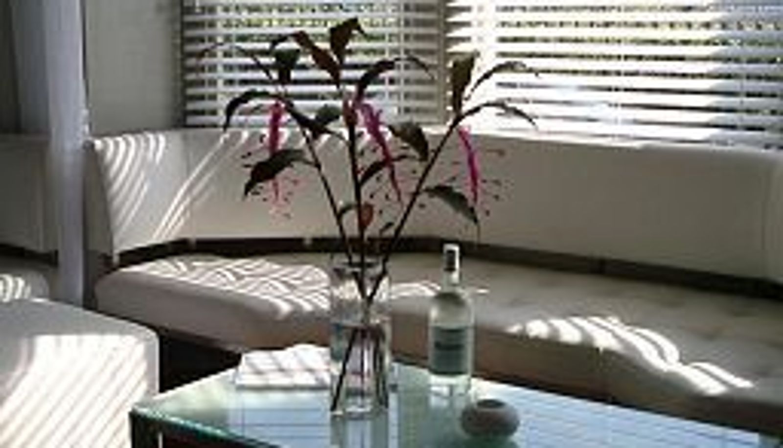 Bar - The Square Hotel