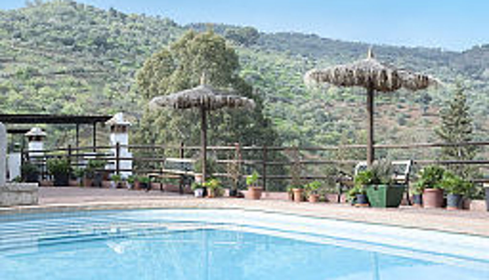 Pool - La Molineta