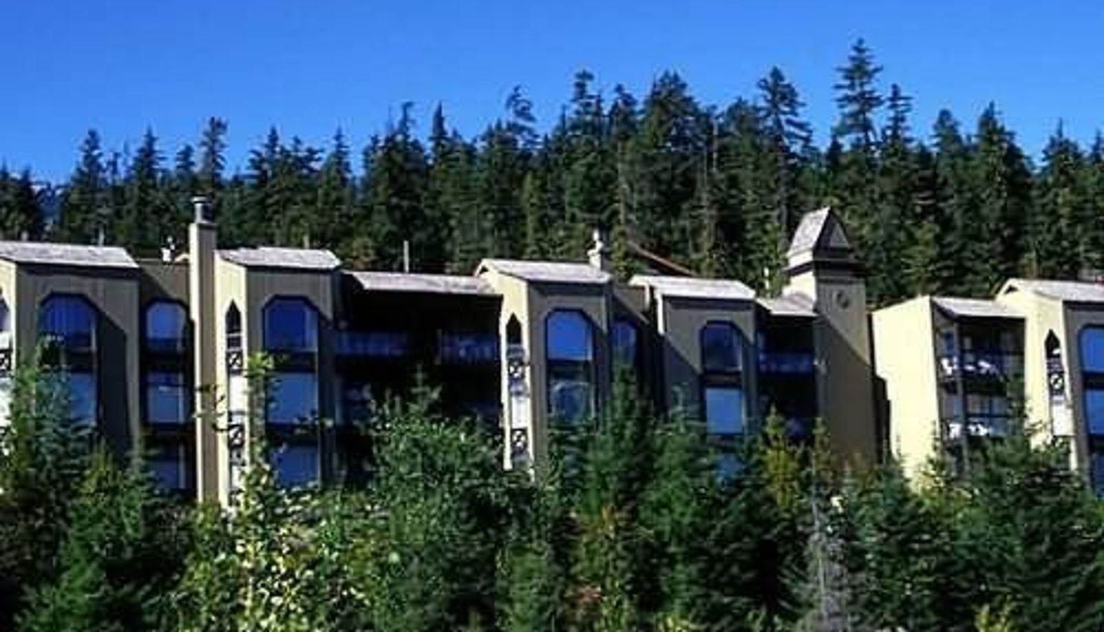 Hall - Raintree's Whiski Jack At Ironwood Whistler