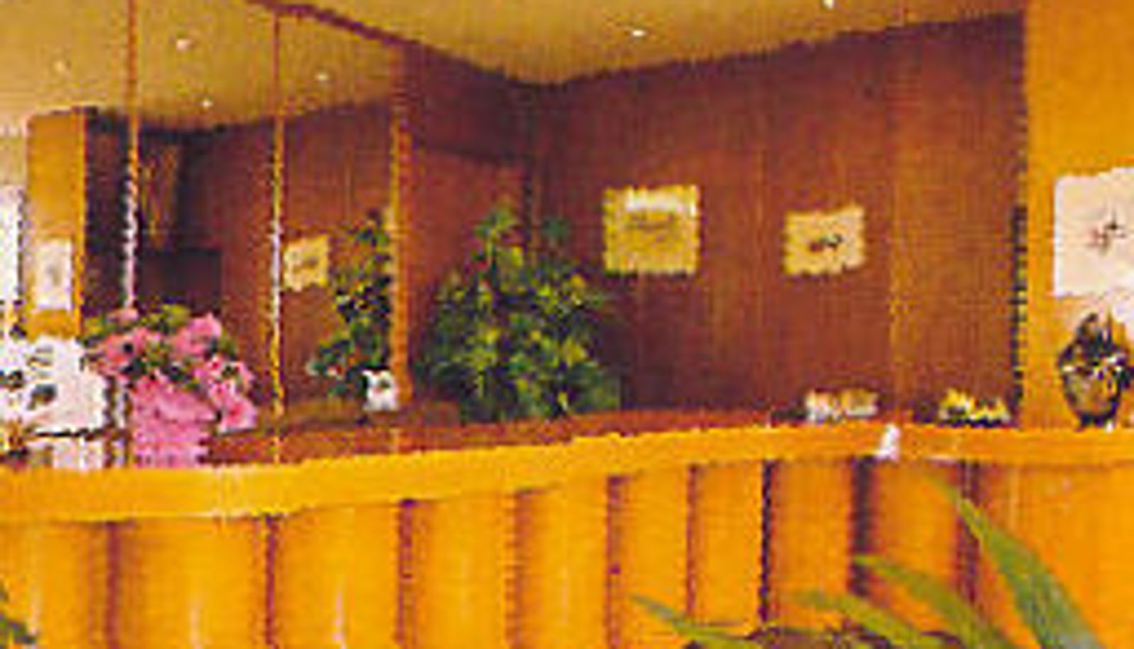 Reception - Sorriso