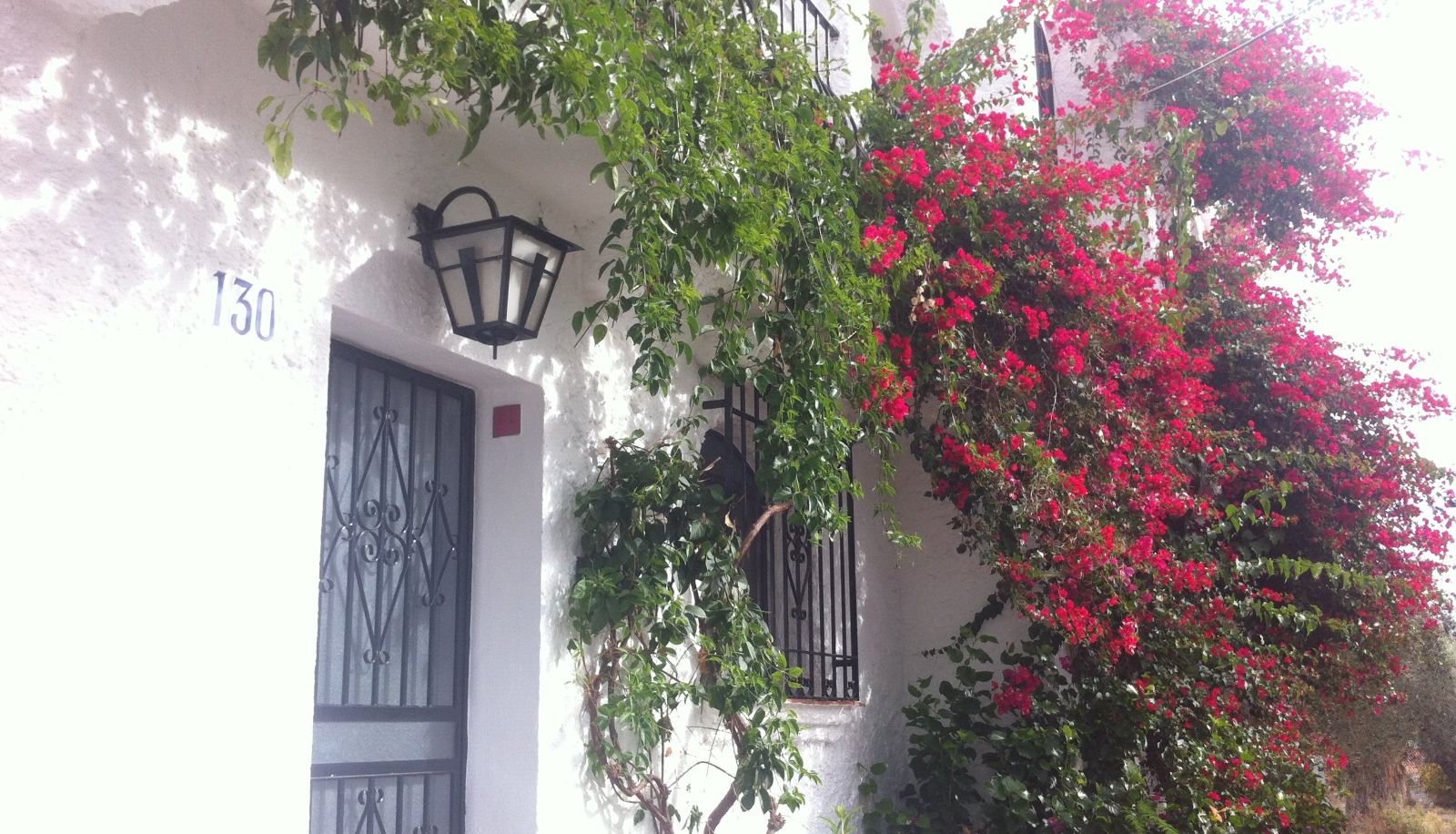 Surrounding - El Capistrano Sur