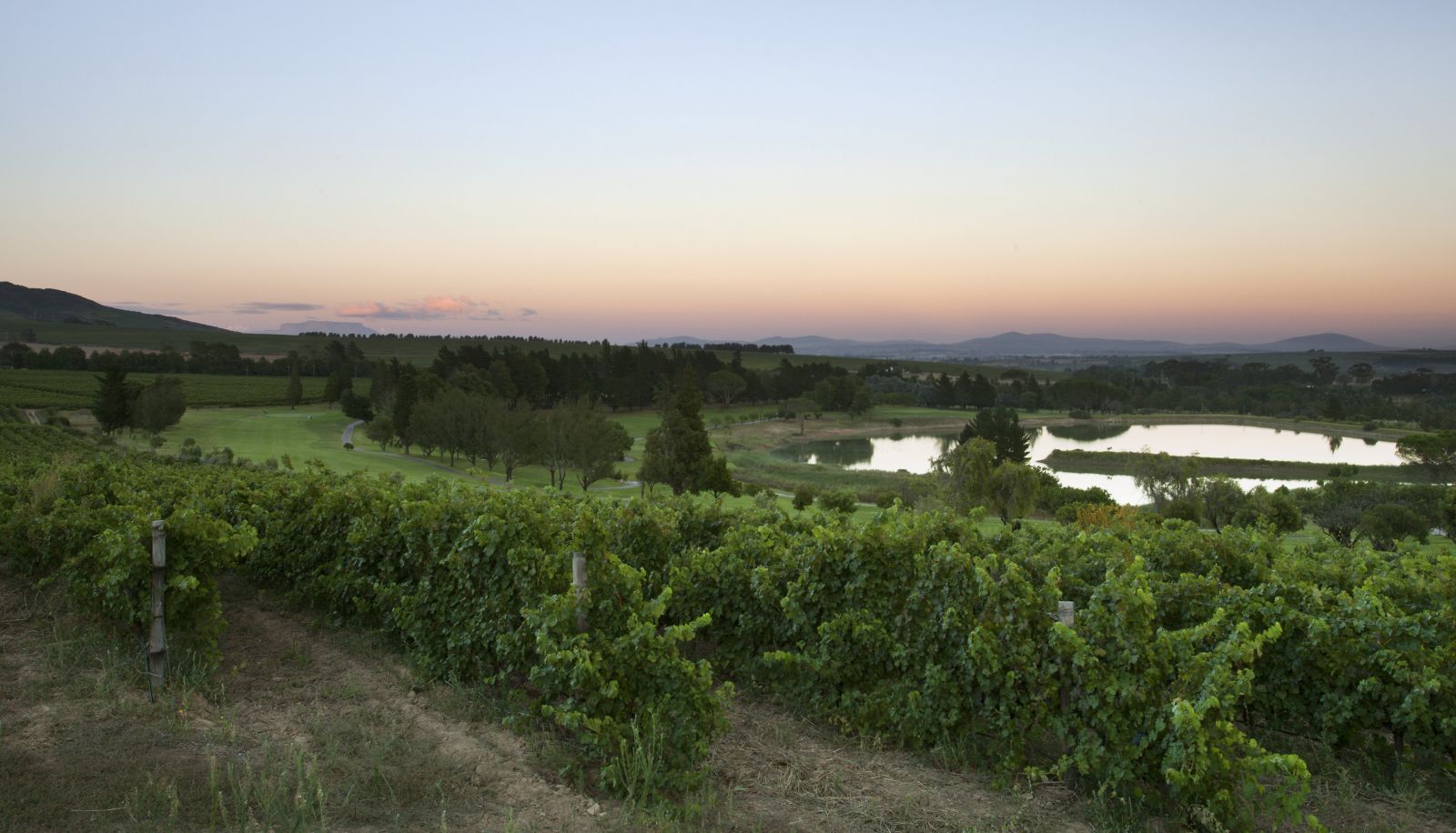 Info - Devonvale Golf & Wine Estate