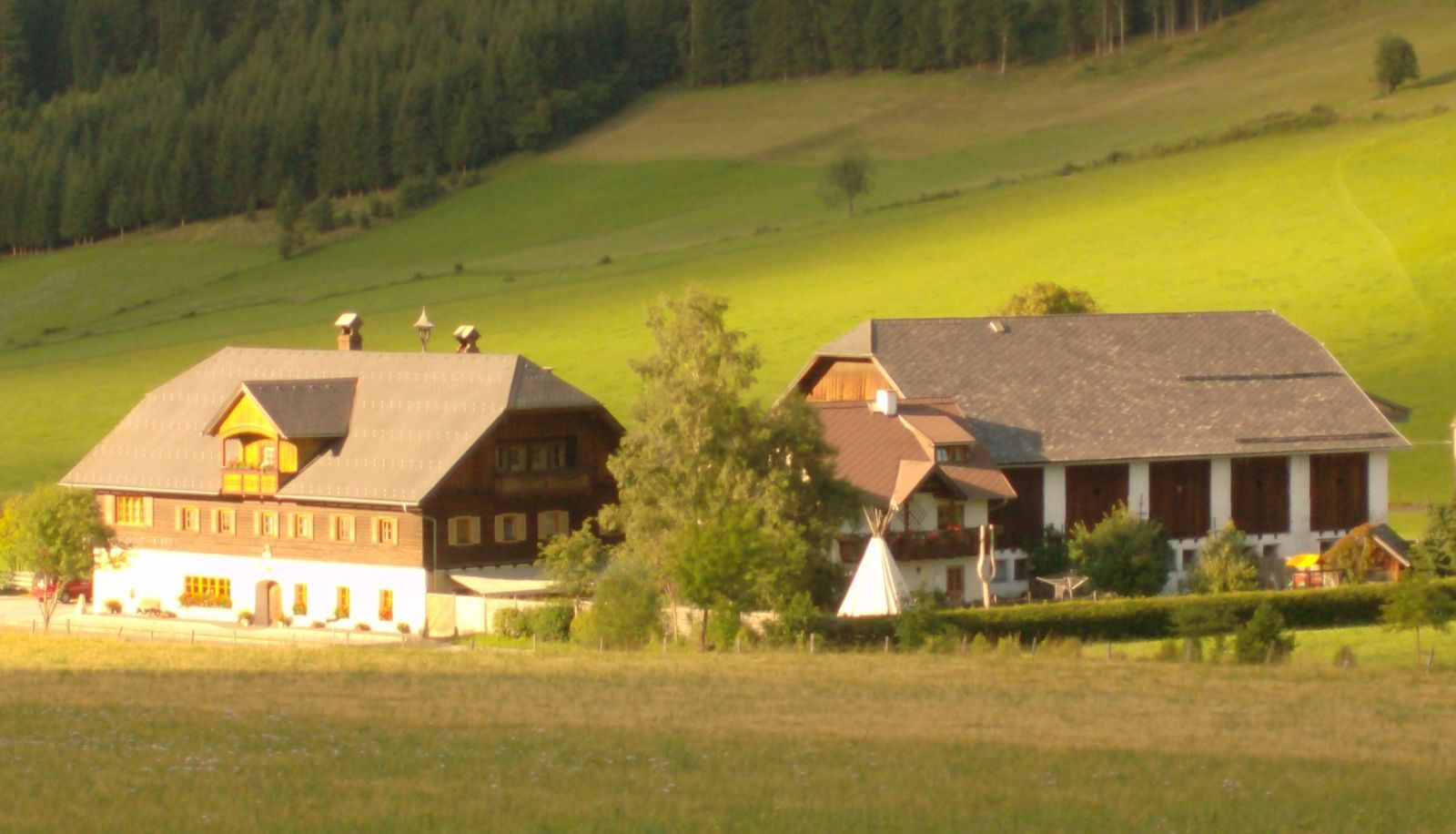 Info - Bauernhof Abenteuer auf dem Biobauernhof Gut Neusess