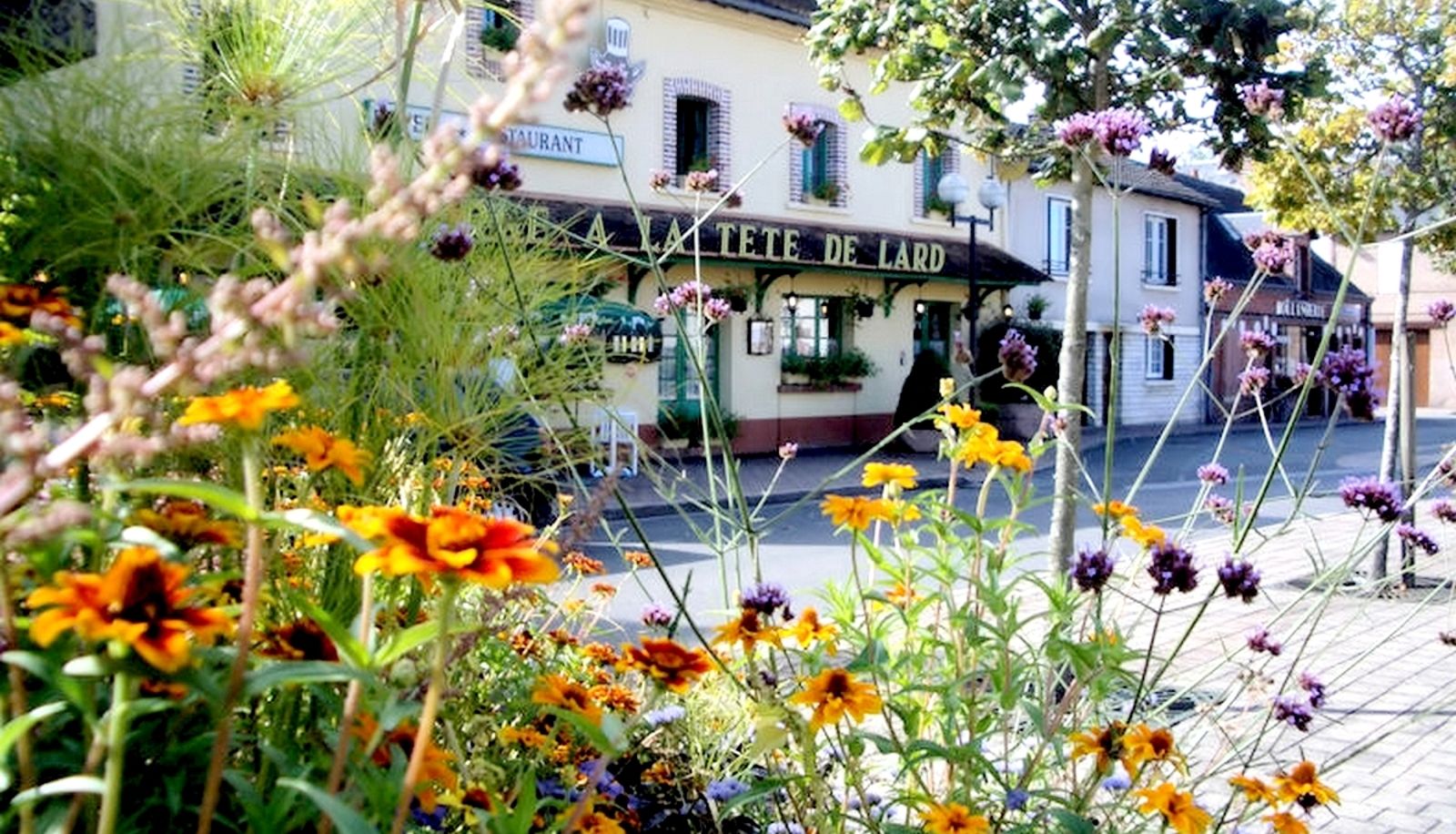 Buitenruimte van het hotel - Auberge à la Tete de Lard Logis
