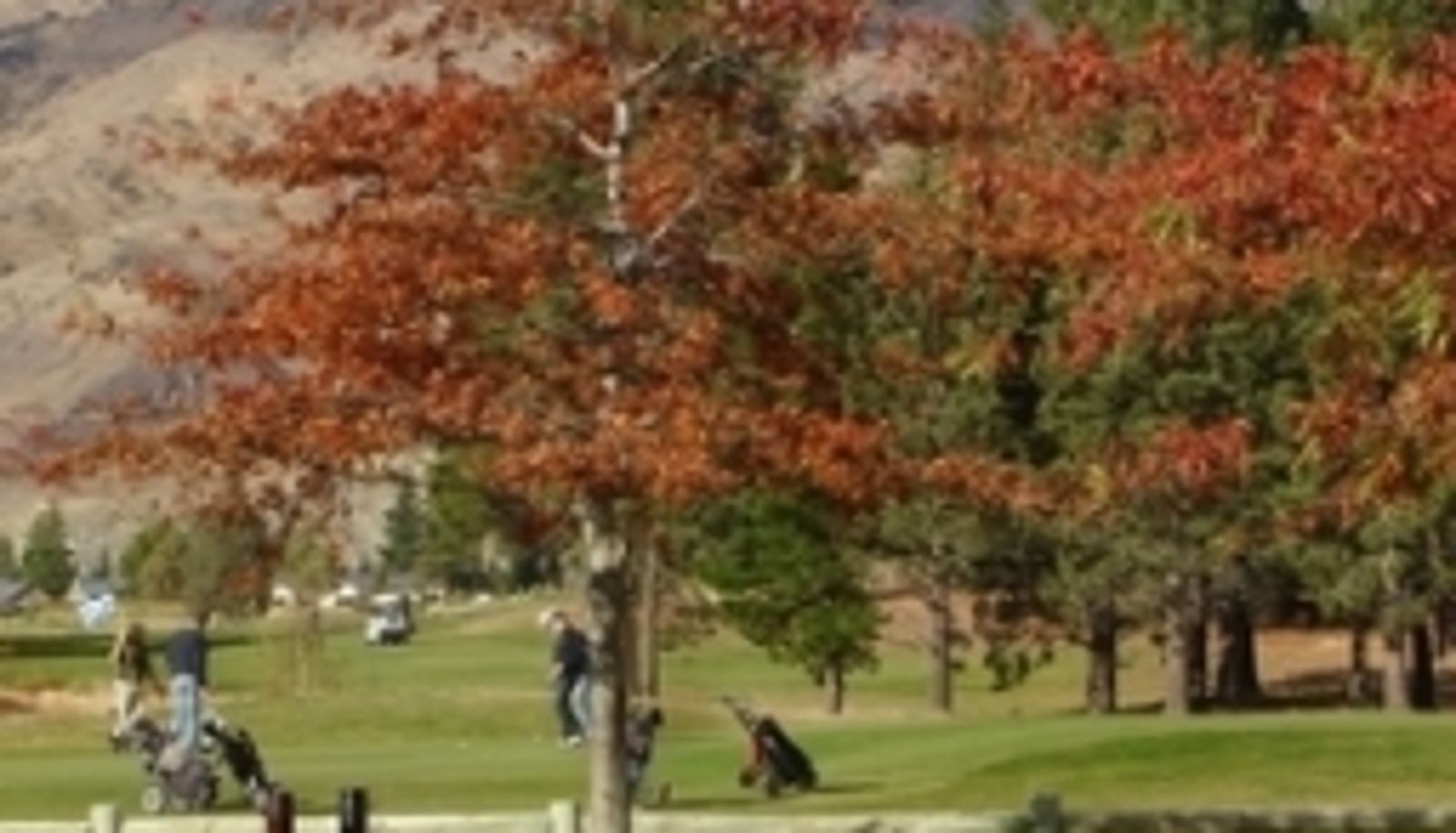 Info - LAKE DUNSTAN MOTEL-CROMWELL