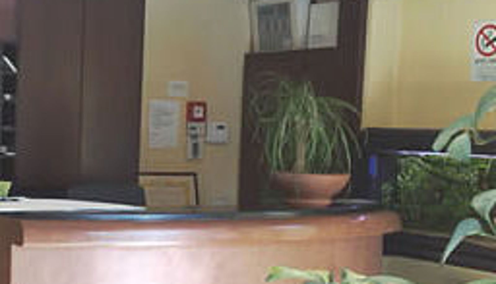 Hall - Albergo Sonia