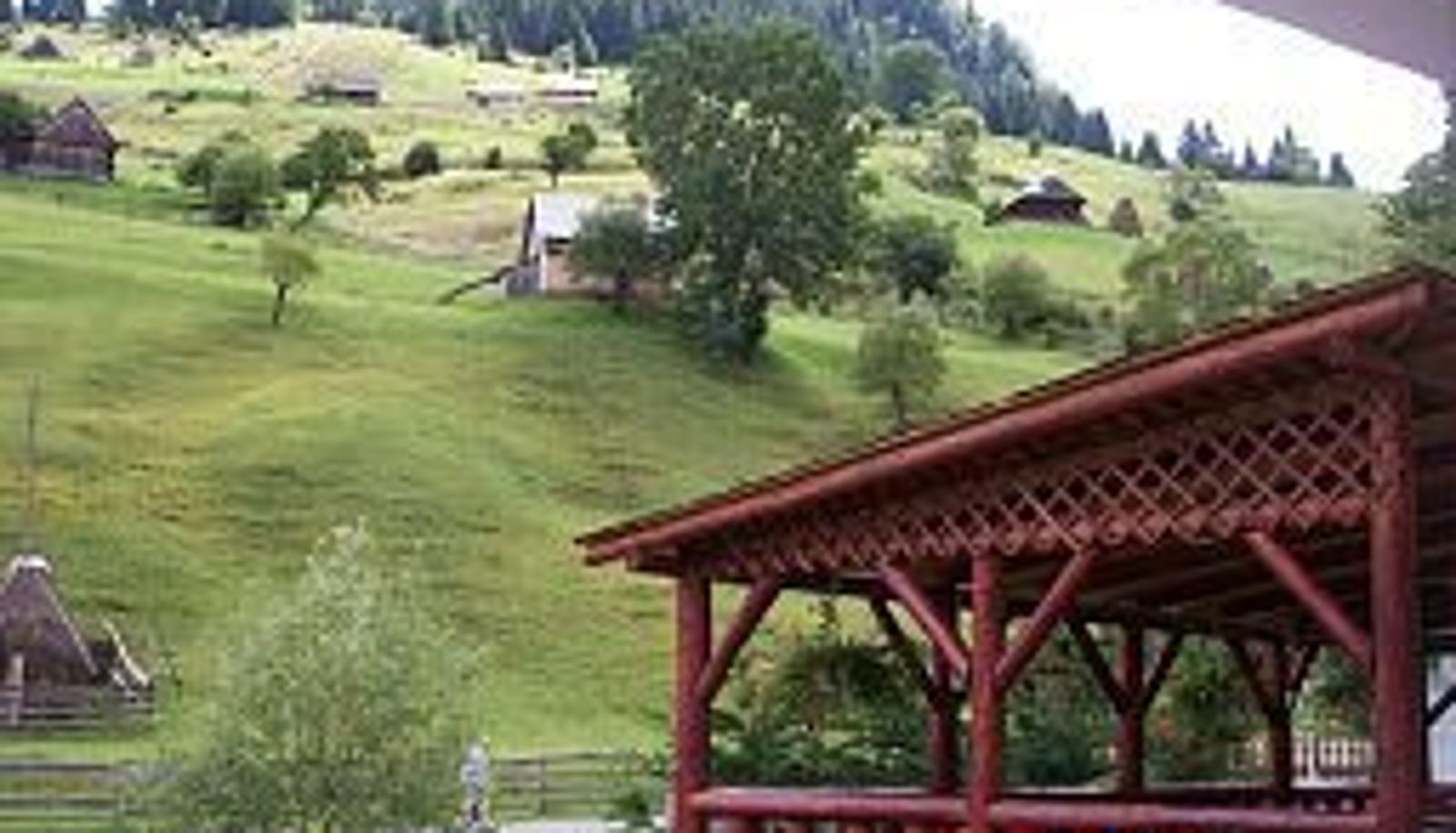 Terrace - Pensiunea Sorina