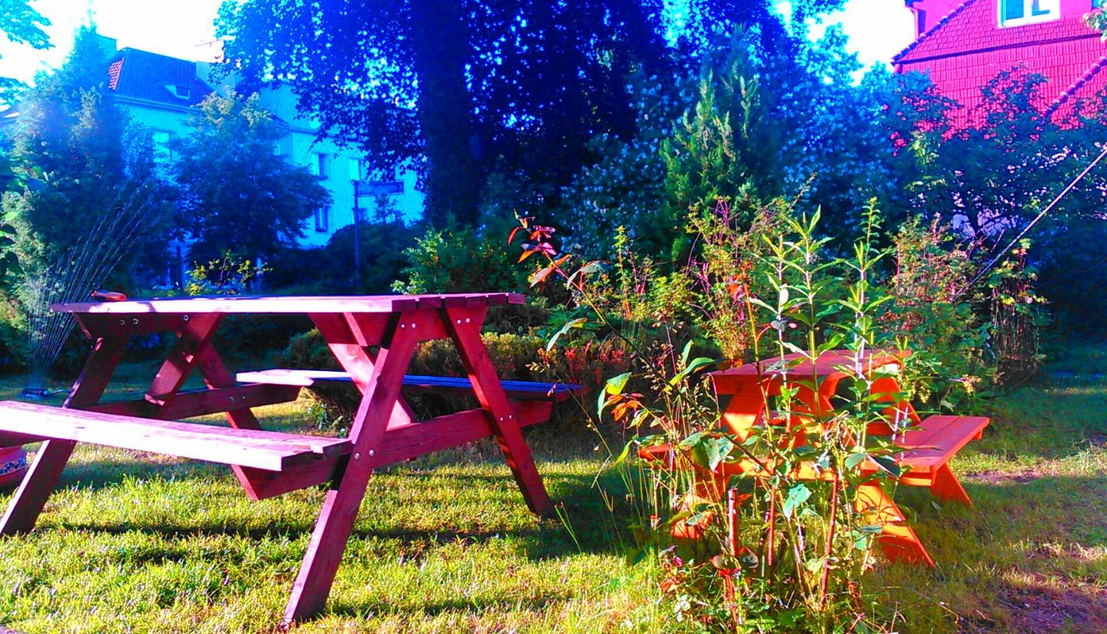 Tuin - SuperiQ Villa