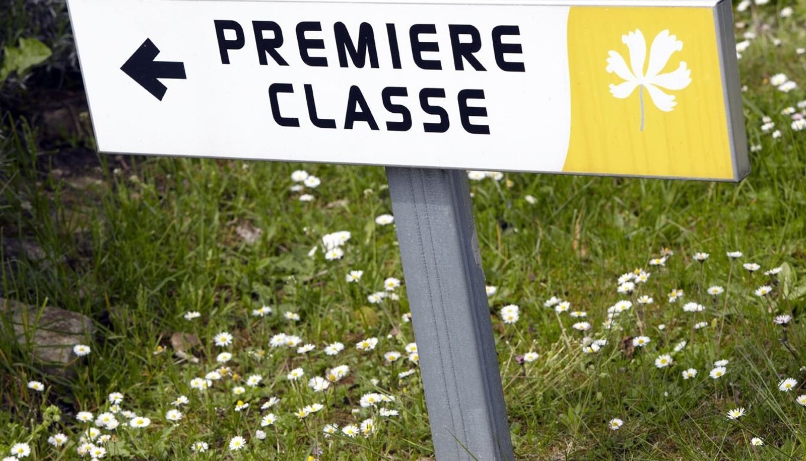 Informacje - Premiere Classe LE MANS OUEST - Universite Ouest Université
