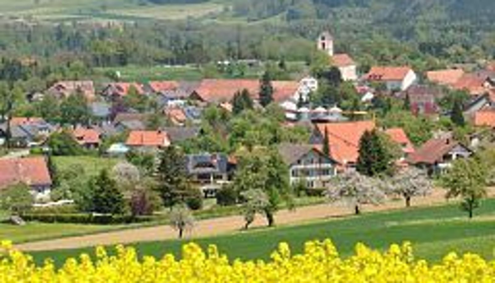 Vue - Pension Fohrenberg