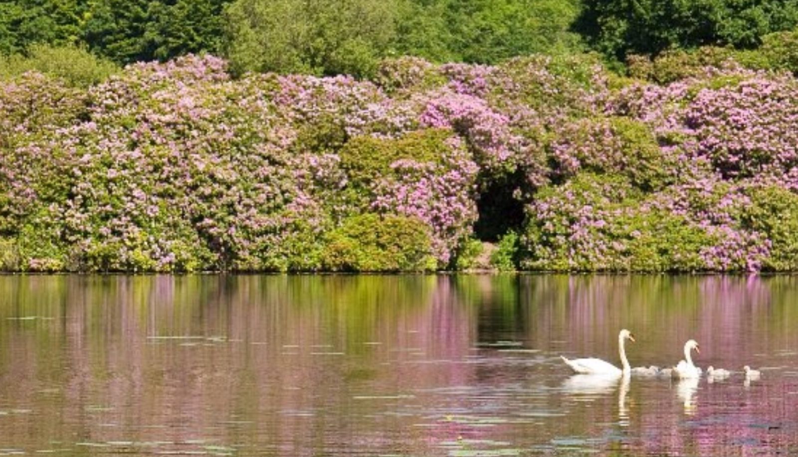 Surrounding - Killyliss Country House