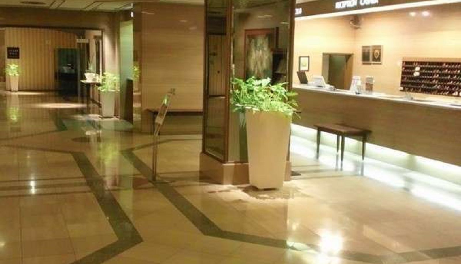 Salón - Hotel Castle Plaza (Hyogo)