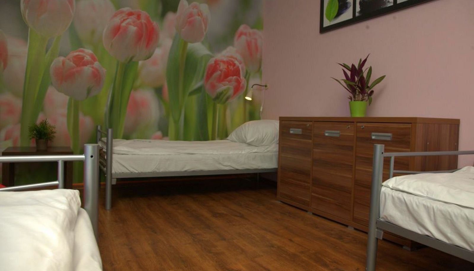 Standaardkamer (eenpersoons) - Hostel Krokodyl