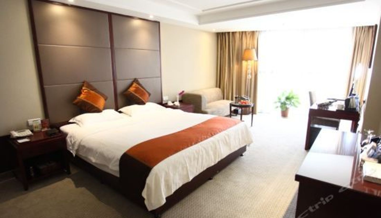 Superior-Zimmer - Yingdu New Jinjiang Hotel Xuzhou