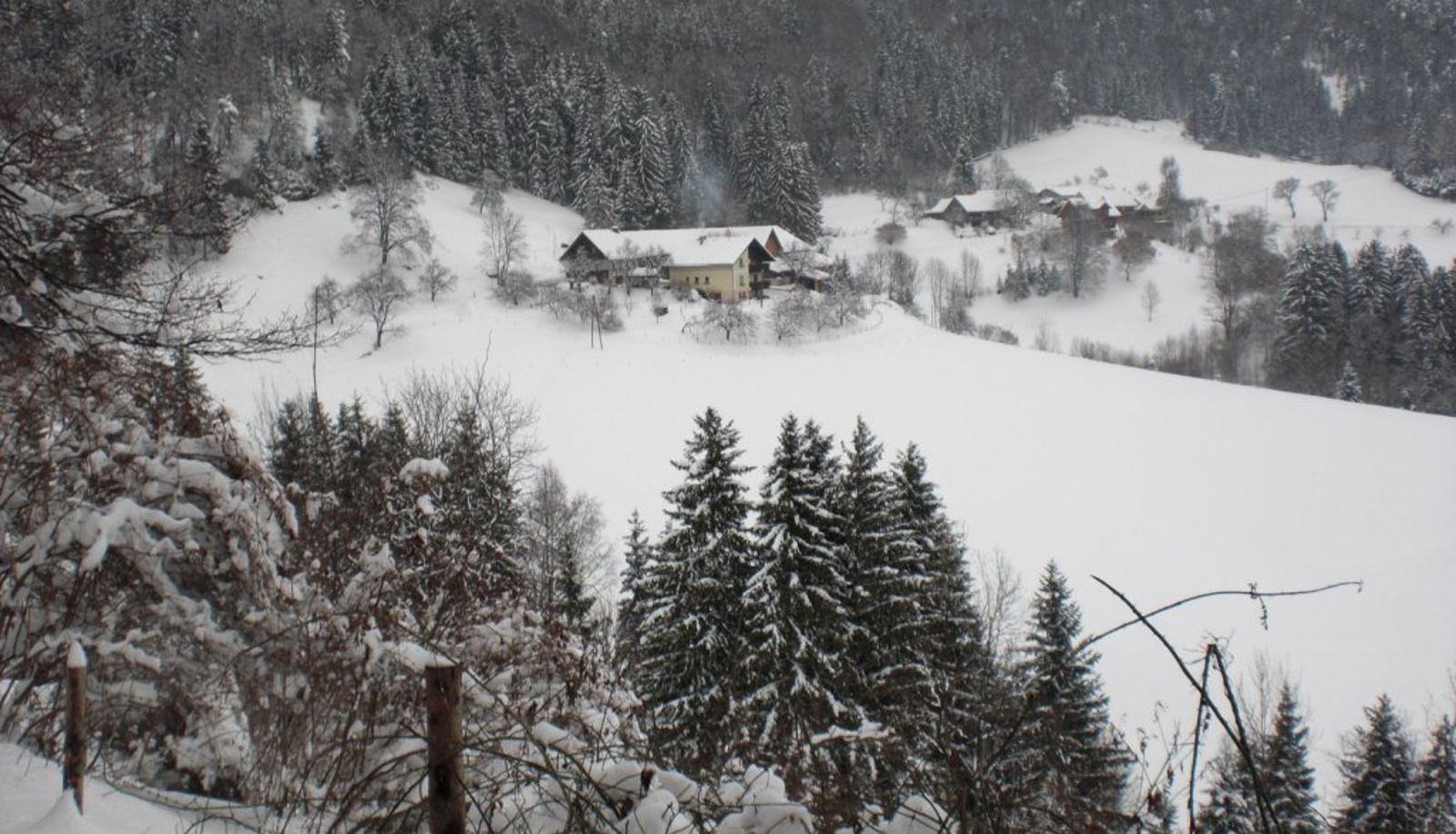 Info - Bauernhof Stoffbauer