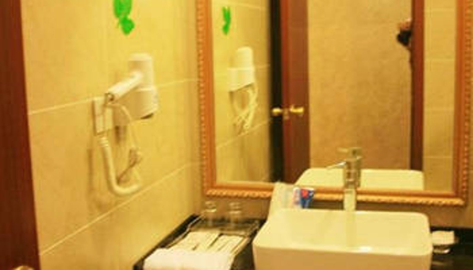 Camera - Chongqing Oubinge Hotel