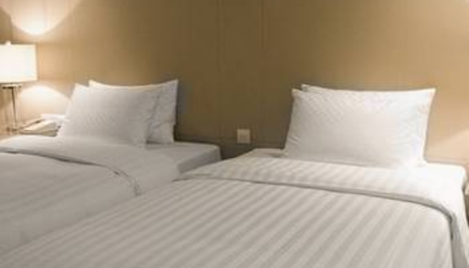 Room - Mingdian Ginza Business Hotel