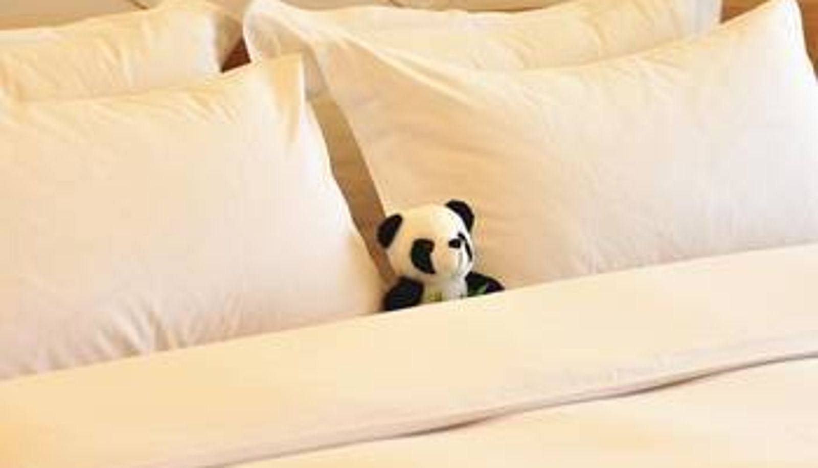 Room - H-Hotel Riverside
